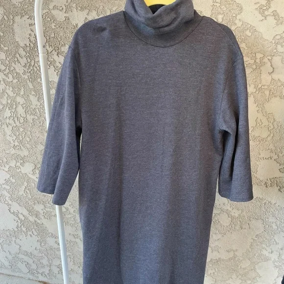 Zara | Dresses | Zara Turtleneck Sweater Dress | Poshmark